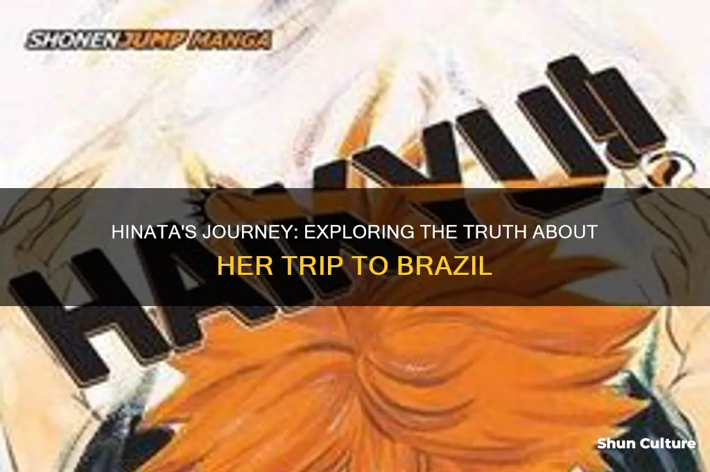 does hinata go to brazil