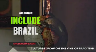 Is Brazil Considered Hispanic? Exploring Cultural and Linguistic Identities
