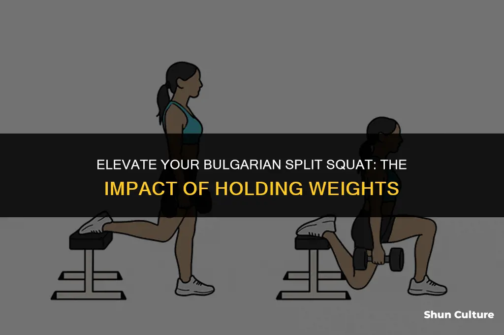 does holding weigts during bulgarian split squat do anything