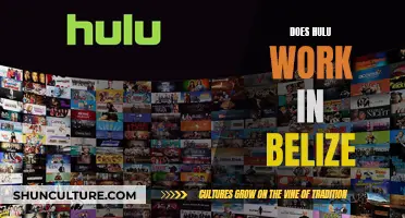 Streaming Hulu in Belize: Is It Possible?