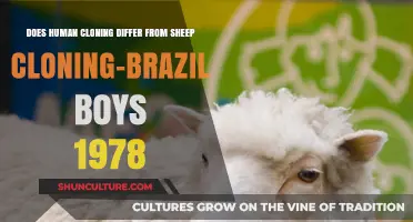 Human vs. Sheep Cloning: The 1978 Brazil Boys Case Explored