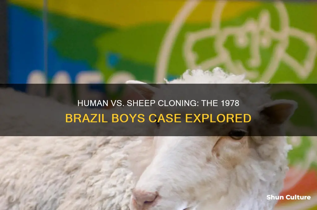 does human cloning differ from sheep cloning-brazil boys 1978