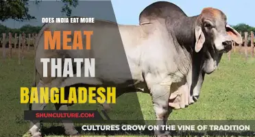 India vs. Bangladesh: Comparing Meat Consumption Trends and Cultural Influences
