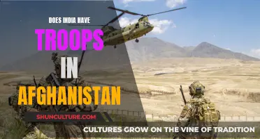 The Unspoken Alliance: India's Quiet Military Presence in Afghanistan