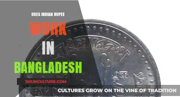Can Indian Rupees Be Used in Bangladesh? Currency Exchange Explained
