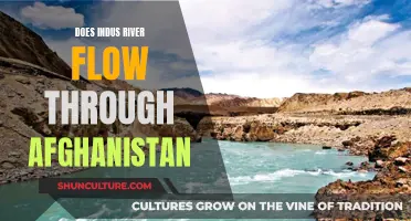 The Indus River's Journey: Does it Flow Through Afghanistan?