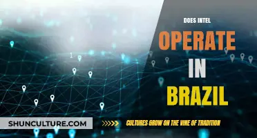 Intel's Presence in Brazil: Operations, Impact, and Future Prospects