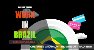 Does IPVanish Work in Brazil? A Comprehensive VPN Analysis