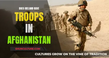 Irish Troops in Afghanistan: A Complex History