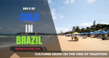 Does Brazil Experience Cold Weather? Exploring Its Climate Variations