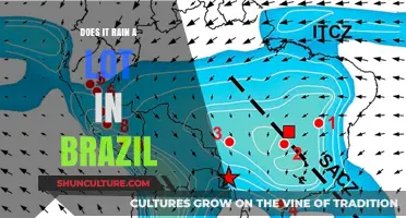 Brazil's Rainfall Patterns: Unveiling the Truth About Its Wet Climate