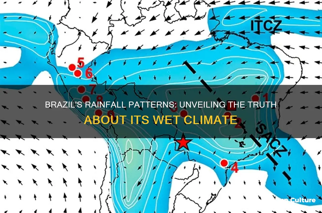 does it rain a lot in brazil