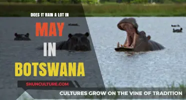 May Showers in Botswana: Unraveling the Rainy Season's Timing and Intensity