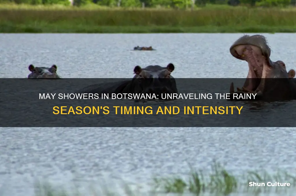 does it rain a lot in may in botswana