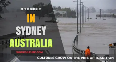 Sydney's Rainfall: How Much Does It Really Pour Down Under?