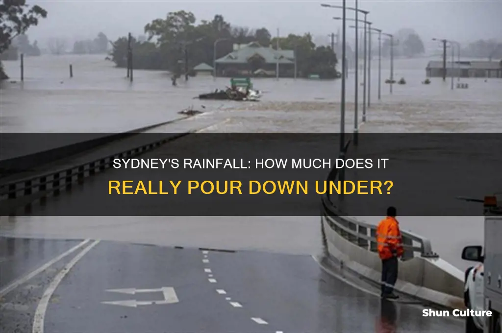 does it rain a lot in sydney australia