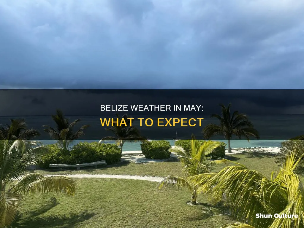 does it rain belize in may