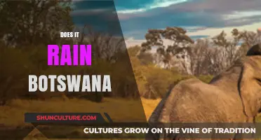 Does It Rain in Botswana? Exploring the Country's Climate and Weather Patterns