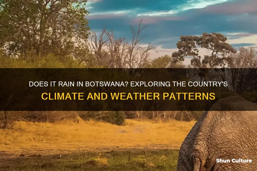 does it rain botswana