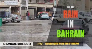 Weather in Bahrain: Does it Rain in the Arid Climate?