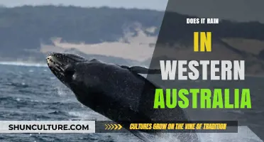 Western Australia: Wet or Dry?