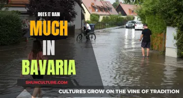 Bavaria's Rainy Days: How Often Does It Pour?