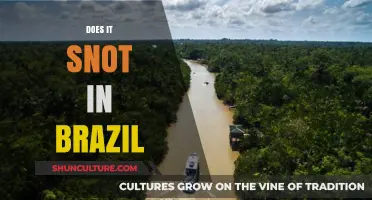 Does It Snot in Brazil? Exploring Weather and Climate Myths