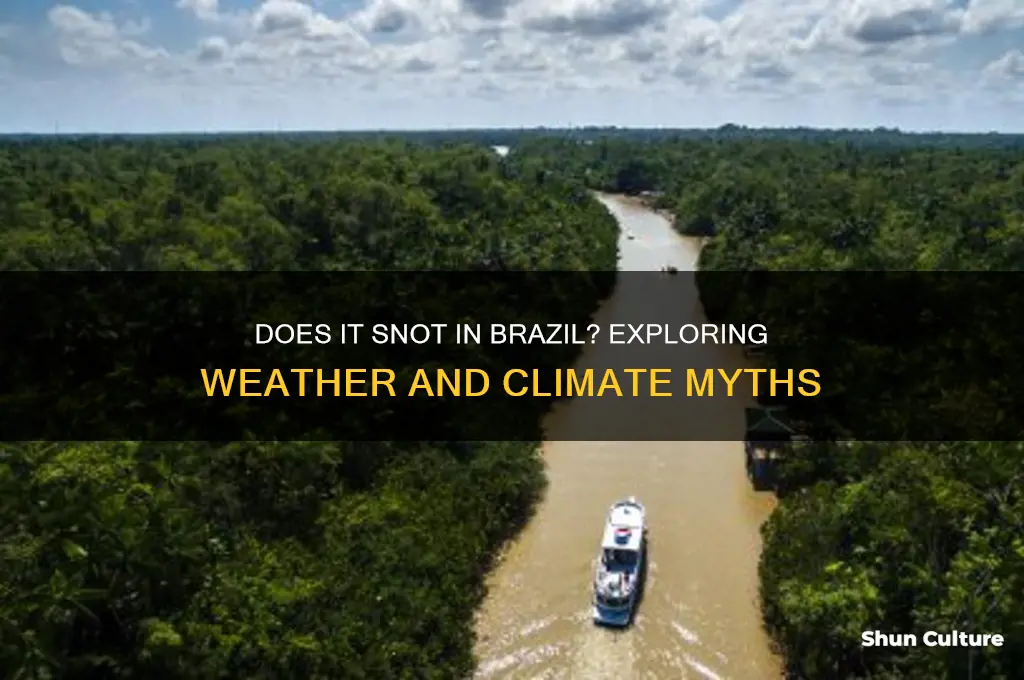 does it snot in brazil
