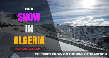 Does It Snow in Algeria? Exploring the Country's Winter Weather