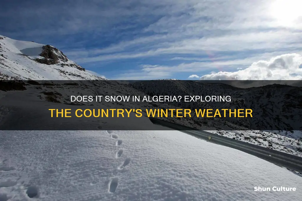 does it snow in algeria