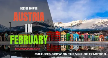 February Snow in Austria: What to Expect