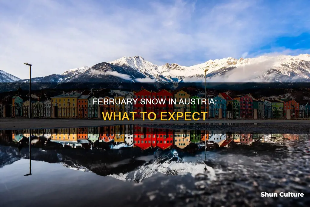 does it snow in austria in February