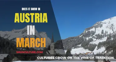 March Snow in Austria: What's the Deal?