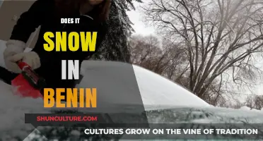 Exploring Benin's Climate: Does Snow Fall in This West African Nation?