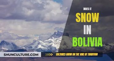 Exploring Bolivia's Snowy Wonders