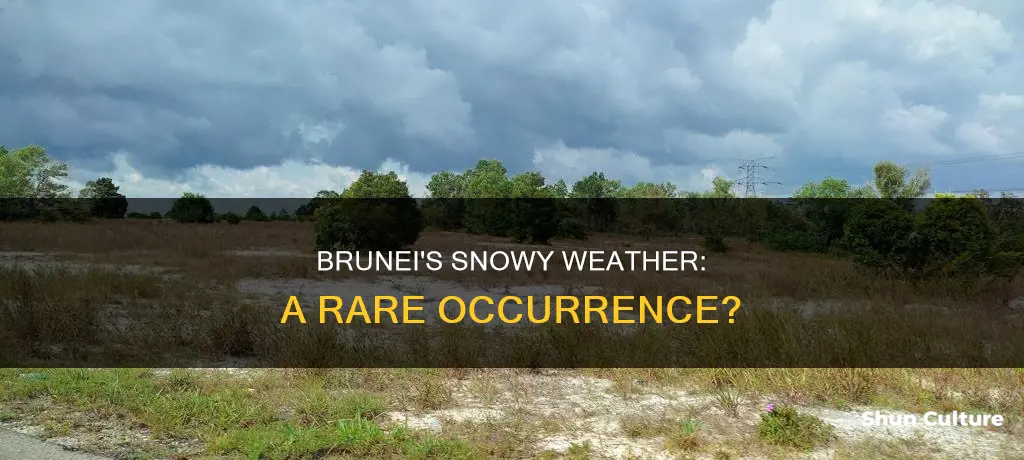 does it snow in brunei