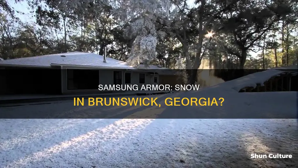 does it snow in brunswick georgia by samsung armor