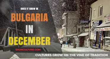 December Delights: Exploring Bulgaria's Snowy Winter Wonderland