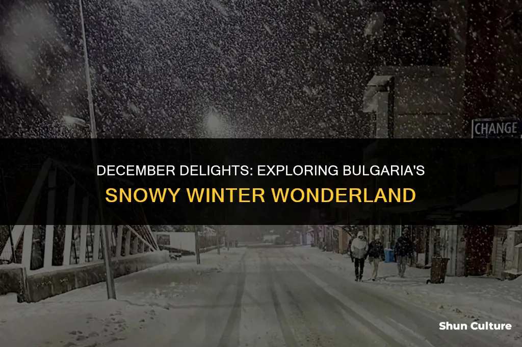 does it snow in bulgaria in december