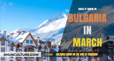 March Snowfall in Bulgaria: What to Expect and How to Prepare