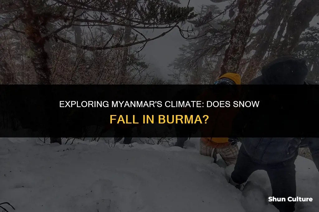 does it snow in burma
