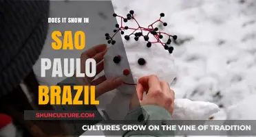 Does It Snow in São Paulo, Brazil? Unraveling the Climate Mystery