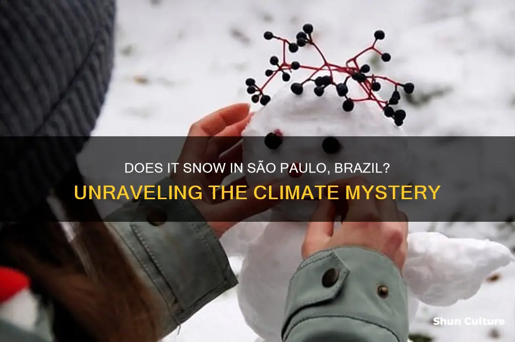 does it snow in sao paulo brazil