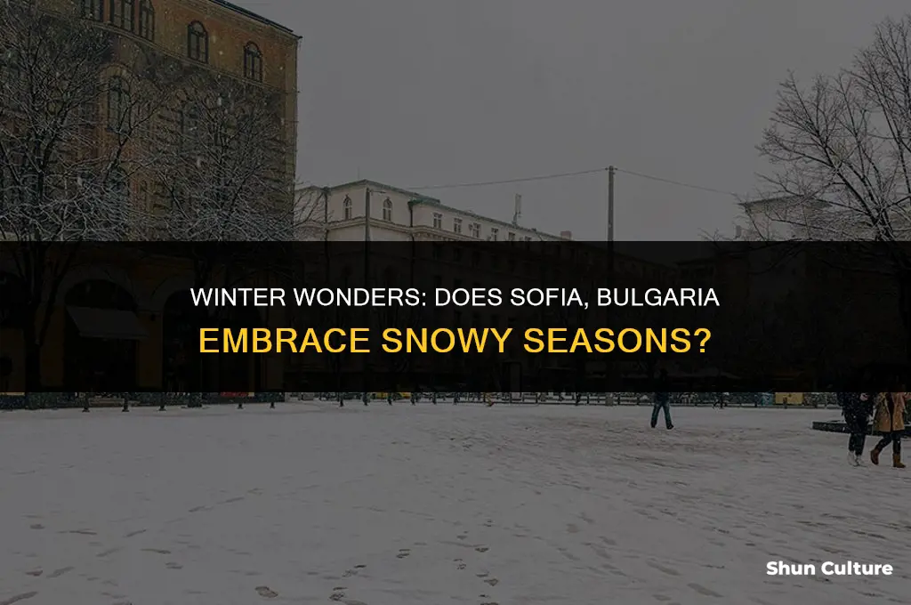 does it snow in sofia bulgaria