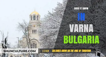 Winter Wonders: Exploring the Snowy Side of Varna, Bulgaria