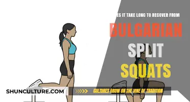 Bulgarian Split Squats Recovery Time: What to Expect