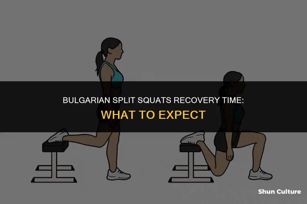 does it take long to recover from bulgarian split squats