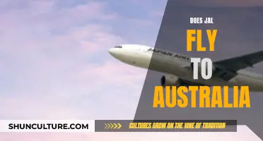 JAL's Australian Adventure: Where Does It Fly?
