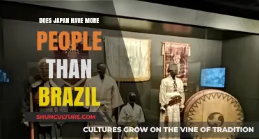 Japan vs. Brazil: Which Country Has a Larger Population?