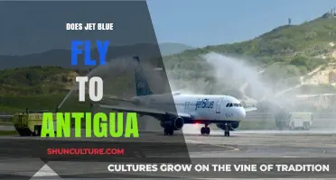 JetBlue Flights to Antigua: Routes, Schedules, and Travel Tips